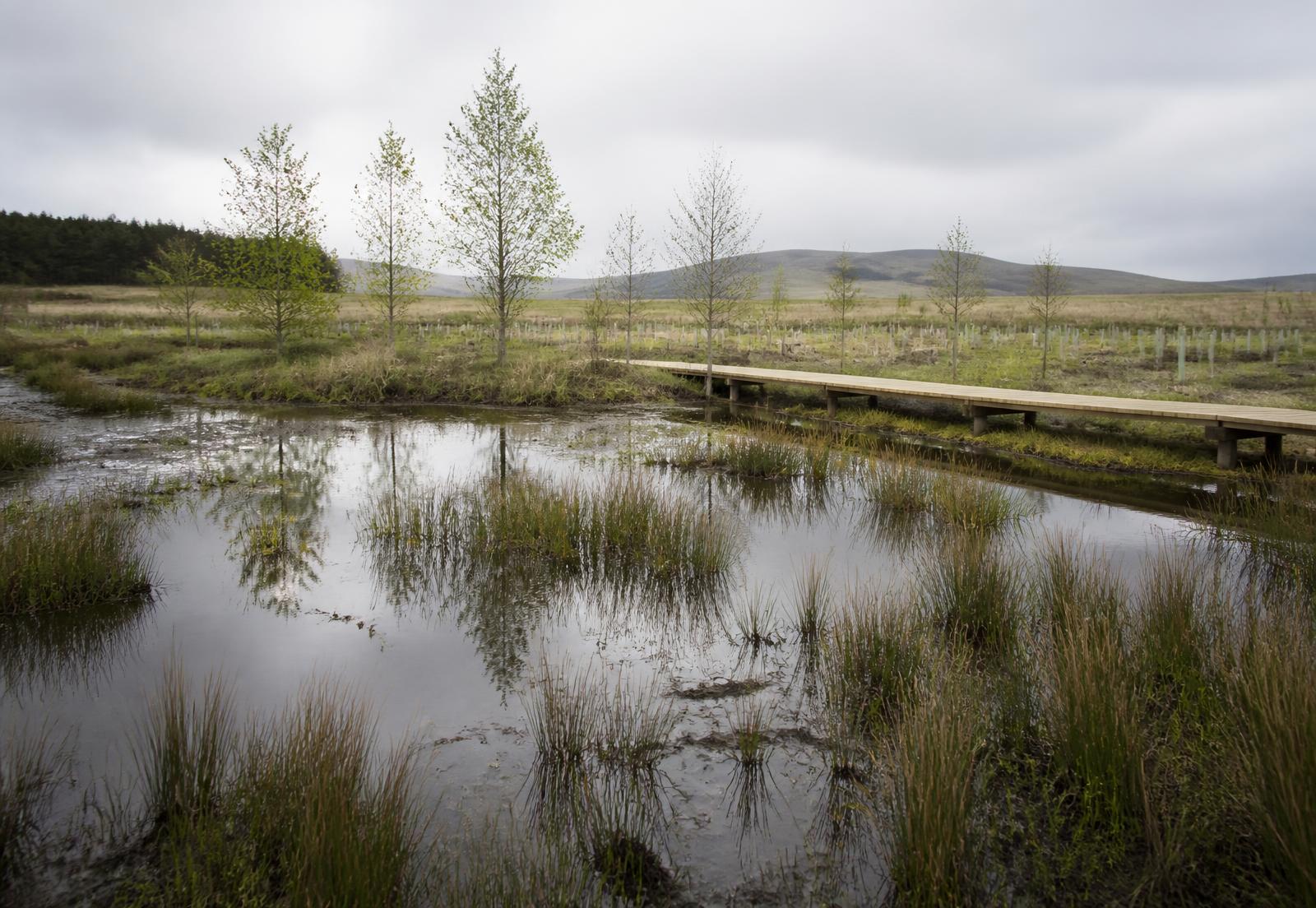 Returning Water to the Land